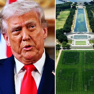 Donald Trump, reflecting pool illustraiton