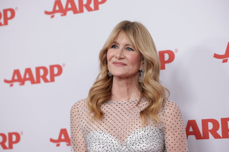 Laura Dern will play the Miami Herald reporter who was instrumental in exposing Epstein's crimes. REUTERS/Mario Anzuoni.