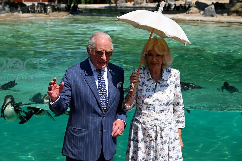 Britain’s King Charles and Queen Camilla observe penguins at Penguin Beach during a visit to the London Zoo to celebrate the Zoological Society of London's 200th anniversary in 2026.
